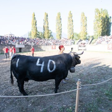 PHOTOVAL©_FDV_WEB_NH__9699